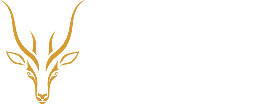 Gir Vista