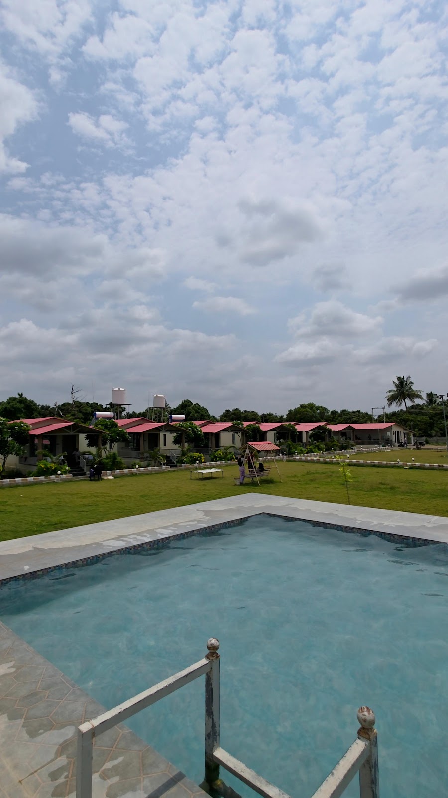 Dining View
